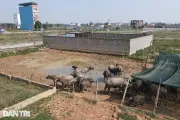 Điều chỉnh quy hoạch sử dụng đất: tăng hơn 1 triệu ha đất phi nông nghiệp