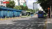 Kỷ lục hành khách xe buýt ở TP.HCM sau miễn phí vé
