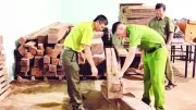 Đắk Lắk: Phá rừng diễn biến phức tạp, khởi tố nhiều vụ án nhận hối lộ