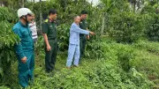Đắk Lắk quyết tâm tìm kiếm hài cốt liệt sĩ: 'Thà tìm nhầm còn hơn bỏ sót'