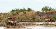 Đắk Lắk đẩy mạnh hỗ trợ hợp tác xã tiếp cận thông tin và chuyển đổi số
