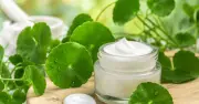 Kem bôi da thảo mộc Young Rau Má bị thu hồi toàn quốc do sai công thức