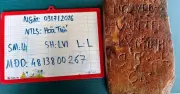 Khai quật gần 300 mộ liệt sĩ ở Đà Nẵng: Phát hiện bia đá, lọ thuốc khắc tên