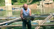 Khai thác vàng trong hồ giúp hộ miền núi Thanh Hóa thoát nghèo