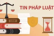 Khởi tố thêm 3 lãnh đạo cấp cao Công ty Cổ phần Tập đoàn Hóa chất Đức Giang