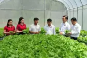 Khơi thông tín dụng xanh: Không thể chỉ trông chờ vào ngân hàng
