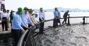 Khánh Hòa chi gần 60 tỉ đồng hỗ trợ ngư dân đổi lồng bè công nghệ cao