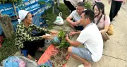 Khu chợ cách Hà Nội 120km bán đặc sản độc lạ, quà giá chỉ 2.000 đồng