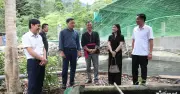 Kiểm tra chương trình mục tiêu quốc gia tại Phú Thọ, phát hiện nhiều tồn tại