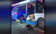 Kinh hoàng ô tô lao thẳng vào xe buýt ở Brisbane, tài xế kẹt cứng
