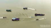 Lễ hội Nghinh Ông Nam Hải 2026: Nhiều hoạt động văn hóa đặc sắc tại Bình Đại