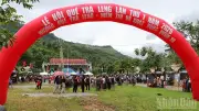 Lễ hội quế Trà Leng hướng đến Lễ hội sâm Ngọc Linh 2026