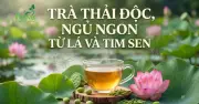 Lá sen và tim sen thành trà hòa tan: Giải pháp ngủ ngon, thải độc từ Cần Thơ
