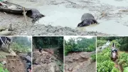 Lai Châu: Mưa lũ cuốn trôi 1 người, sạt lở gây thiệt hại nặng