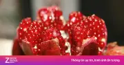 Lợi ích sức khỏe và lưu ý khi ăn lựu: siêu trái cây giàu chất chống oxy hóa