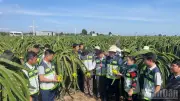 Lâm Đồng định vị thương hiệu 'Bản giao hưởng xanh' hướng tới phát triển bền vững
