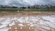 Lạng Sơn xác định nguyên nhân bọt trắng xuất hiện trên sông Kỳ Cùng