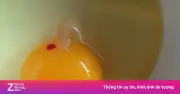 Lòng đỏ trứng có đốm máu: Có ăn được không? Sự thật bất ngờ