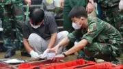 Lào Cai tổ chức khai quật 7 hài cốt liệt sĩ trong Chiến dịch 500 ngày đêm