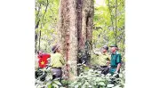 Lào Cai: Vướng mắc trong chi trả dịch vụ môi trường rừng cần tháo gỡ
