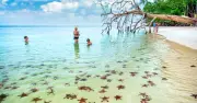 Lonely Planet gợi ý hoạt động gia đình tuyệt vời nhất khi du lịch Việt Nam
