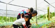 Mù Cả giảm nghèo bền vững nhờ chính sách đúng trọng tâm