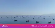 Mỹ: Iran mất khả năng phong tỏa eo biển Hormuz, dòng dầu phục hồi mạnh