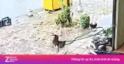 Mẹ tưởng chồng đưa con đi học, bé 5 tuổi chạy bộ 1 km theo xe