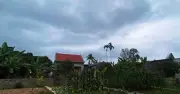 Mẹ vợ nhớ mãi cảnh con rể tấp vào cây xăng, lý do khiến bà nghẹn lòng