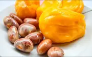 Mùa hè ăn mít đừng vội bỏ hạt: Phần bổ dưỡng ít người biết giúp bạn sống thọ hơn