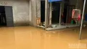Mưa lớn gây ngập úng, sạt lở tại nhiều xã ở Lào Cai, thiệt hại nặng về nông nghiệp