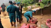 Mưa lớn gây sạt lở nghiêm trọng tại Bắc Kạn và Thái Nguyên