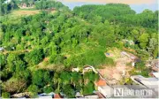 Mức phạt chuyển đổi đất trồng lúa sang loại đất khác: Từ 2 đến 200 triệu đồng