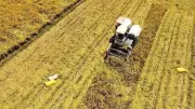 Mục tiêu 100% vùng nông sản có dịch vụ truy xuất nguồn gốc vào năm 2030