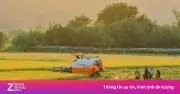 Mekong Capital ra mắt quỹ đầu tư mới, vốn có thể lên đến 200 triệu USD