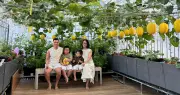 Món quà đặc biệt: Khu vườn sân thượng 100m2 người chồng tặng vợ