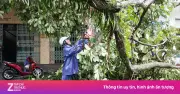 Móng Cái tan hoang sau bão số 1: ngập sâu, cây đổ ngổn ngang