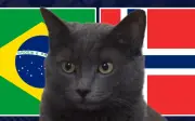 Mèo tiên tri Cass chọn Brazil thắng Na Uy ở vòng 1/8 World Cup