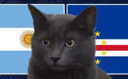 Mèo tiên tri dự đoán Argentina thắng Cape Verde tại World Cup 2026