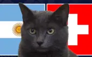 Mèo tiên tri dự đoán Thụy Sĩ thắng Argentina, chuyên gia tin Messi