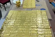 Mr Pips mua 32 bất động sản, vàng, ngoại tệ từ tiền lừa đảo