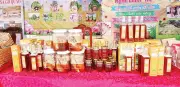 Mật ong U Minh Thượng tăng giá gấp đôi nhờ chứng nhận OCOP