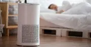 Máy lọc không khí giảm 51,8% bụi mịn nhưng không chữa khỏi viêm mũi dị ứng