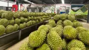 Đơn giản hóa thủ tục cấp mã số vùng trồng, cơ sở đóng gói
