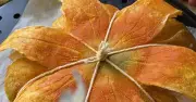 Nữ kiến trúc sư gây sốt với bánh sourdough đẹp như tranh