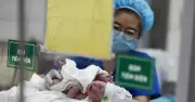 Đóng BHXH bắt buộc bao lâu trước sinh để hưởng chế độ thai sản?