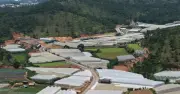 Đường Cam Ly - Phước Thành về đích sau khi tháo gỡ vướng mặt bằng