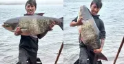 Ngư dân 30 tuổi liên tục bắt được cá mập khủng trên biển Hồ