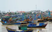 Ngư dân Lâm Đồng vươn khơi an toàn, khai thác bền vững