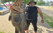 Ngư dân Mexico bắt được cá mú Goliath khổng lồ nặng 75 kg
